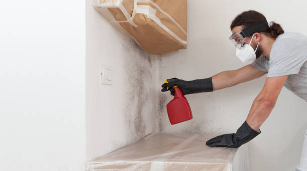 Professional Mold Removal technician working in Winterville, NC