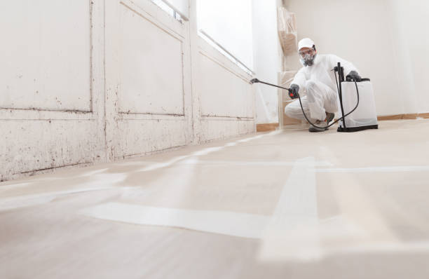 24/7 Emergency Mold Removal experts in Winterville, NC